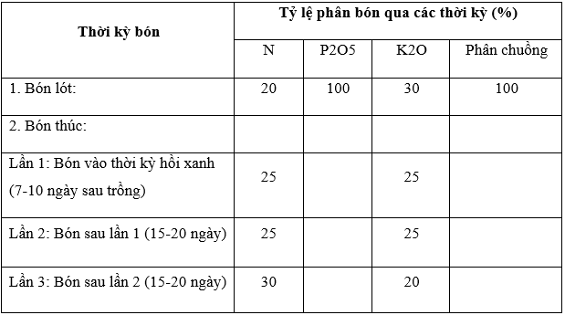 phân hành tây2_1713520281.PNG